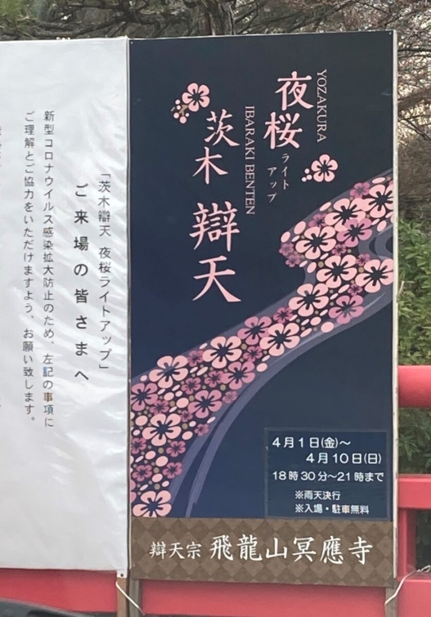 茨木市の辯天さん。夜桜イベントやるよー２０２２